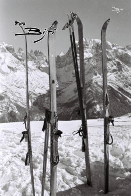 208 - sci e brenta V